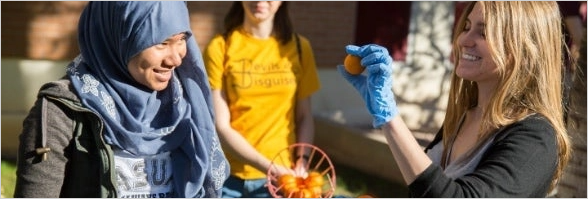 cultural-connection-social-change